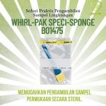 whirl Pak Speci Sponge B01475